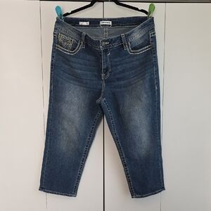 Vigoss Dark Blue Ankle Jeans